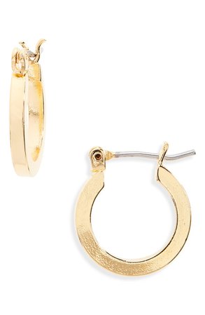 CAM Thick Small Hoops | Nordstrom