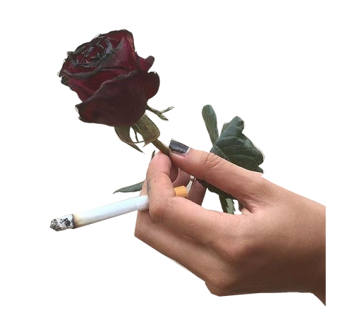 rose with cigarette
