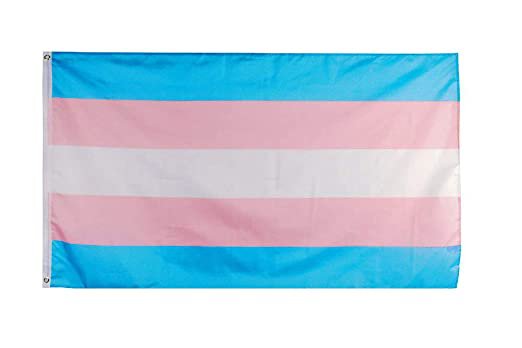 Amazon.com : Flaglink Transgender Pride Flag 3x5 Fts - LGBT Trans Rainbow Banner