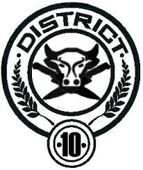 district 10 hunger games - Google Search