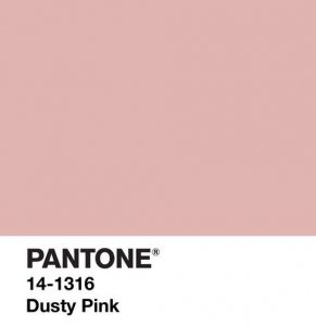 Dusty Pink Color