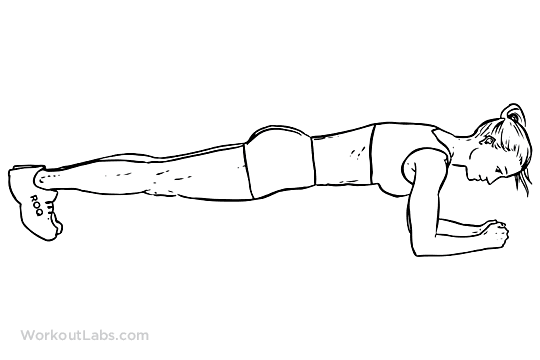 Plank – WorkoutLabs Exercise Guide