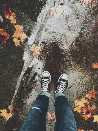 Autumn/Fall Rain Aesthetic