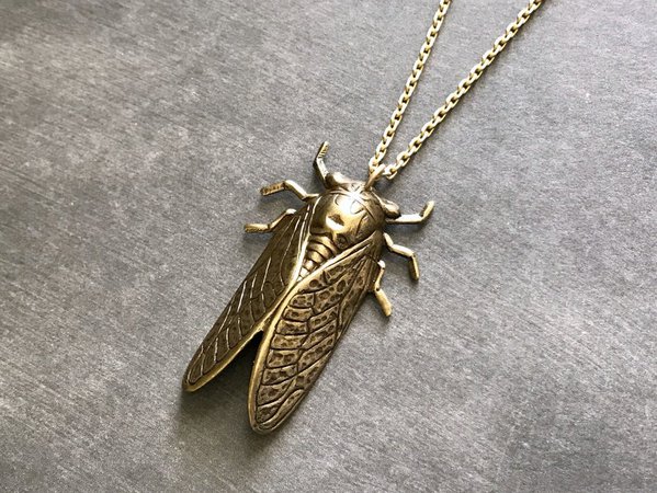 Cicada Necklace Creepy Insect Unisex Men's Necklace XL Bug | Etsy