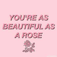your as pretty as a rose - Google Search
