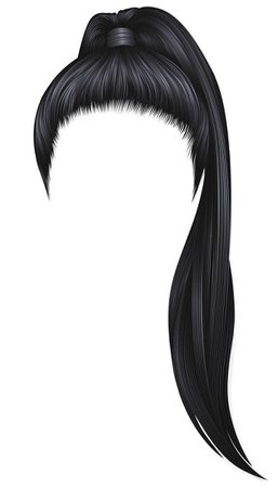 Black ponytail