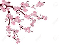 cerisier Japon