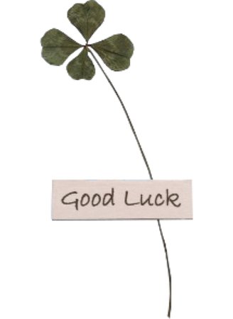 four leaf clover good luck png green