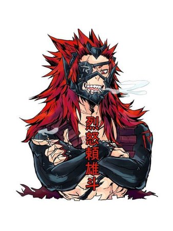 Adult Pro-Hero Red Riot