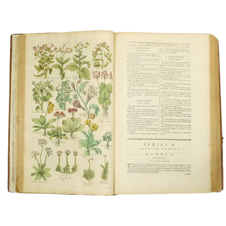 flower language book - png-heaven