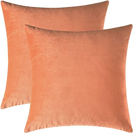 Amazon.com: Mixhug Set of 2 Cozy Velvet Square Decorative Throw Pillow Covers for Couch and Bed, Burnt Orange, 18 x 18 Inches: Home & Kitchen