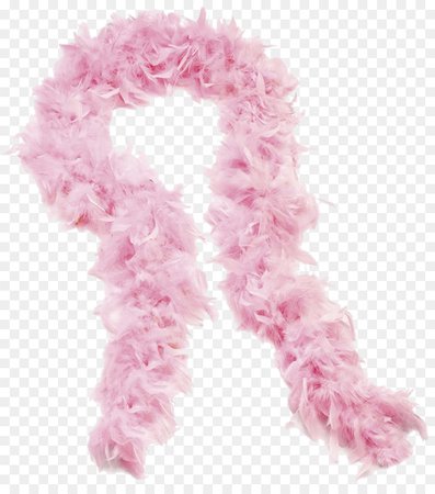 Party Cartoon png download - 1162*1300 - Free Transparent FEATHER BOA png Download. - CleanPNG / KissPNG