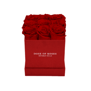 red roses small red square box