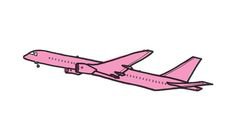 pink plane