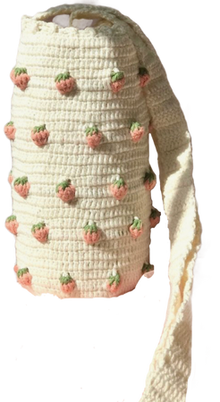 Strawberry crochet water bottle holder