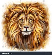 face lion - Google Search