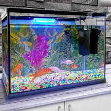 fish tank - Google Search