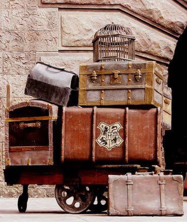 Harry Potter luggage