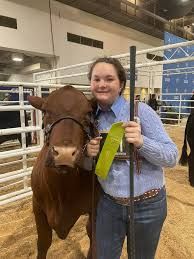 rodeo animal show - Google Search