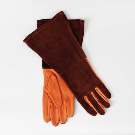 autumn maple gloves - Google Search