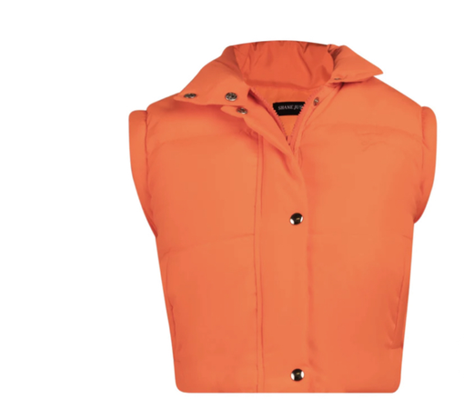 orange vest