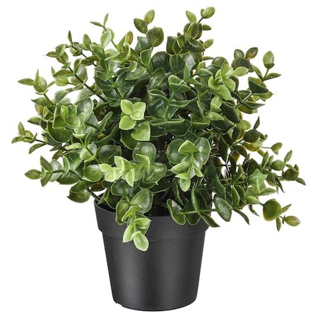 FEJKA Artificial potted plant - thyme - IKEA