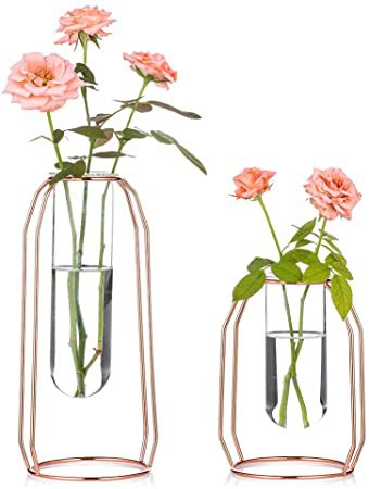 Vases Set of 2 Glass Vases with Metal Frame, Modern Rose Gold Frame Cylinder Clear Vase Planter Terrariums, Flower Holder Decorations for Wedding Living Room, Office, Party (Rose Gold, S+L): Amazon.ca: Home & Kitchen