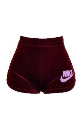 Nike Velvet Shorts