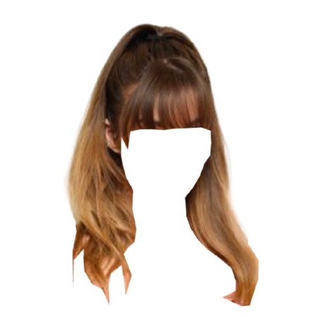 long brown hair high ponytail bangs