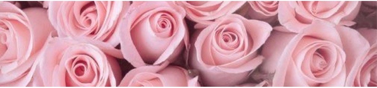 pink rose panel