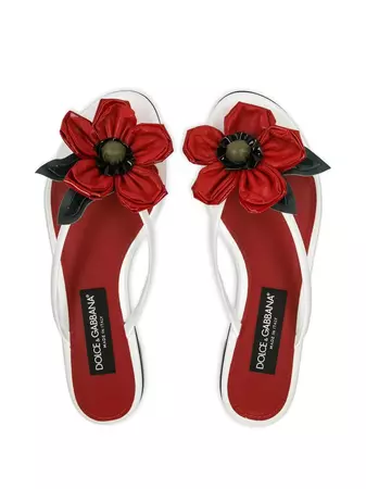 Dolce & Gabbana flower-appliqué Slides