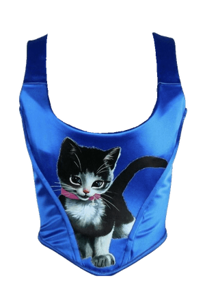 @lollialand- blue vivienne westwood cat corset