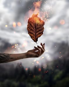 Your Power Hand In Magick | Elemental magic, Magic aesthetic, Magic hands
