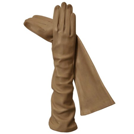 Women's Camel Long Italian Leather Gloves, Warm Cashmere-lined, 8-bt | Solo Classe