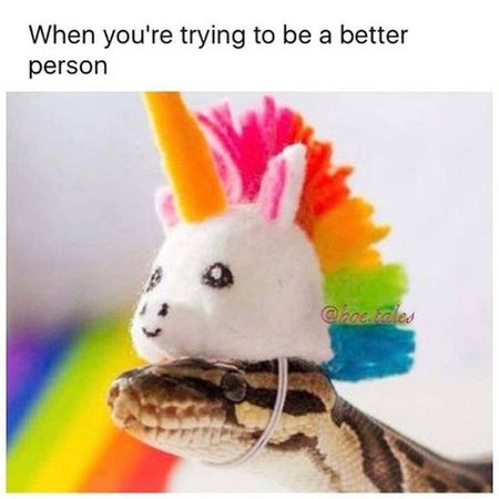 "When you're trying to be a better person" meme