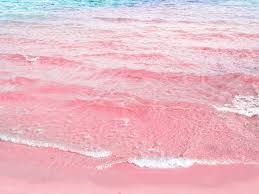 pink beach - Google Search