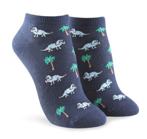 blue dinosaur socks