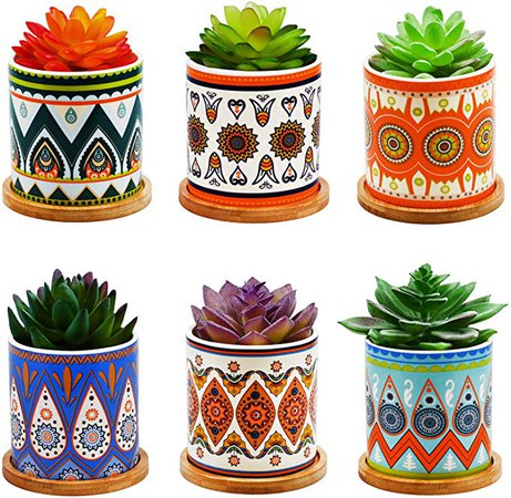 Amazon.com: Succulent Plant Pots - 3.2 inch Ceramic Succulent Planter - Small Cylinder Flower pots for Cactus with Drainage Hole and Bamboo Tray, 6 Pack.: Garden & Outdoor