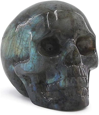 Laufout 0.29 lb Natural Labradorite Carved Realistic Crystal Skull Sculpture, Healing Energy Reiki Gemstone Collectible Figurine: Amazon.ca: Home & Kitchen