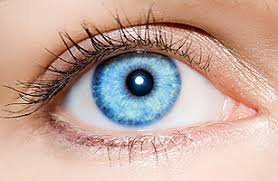 blue eyes - Google Search