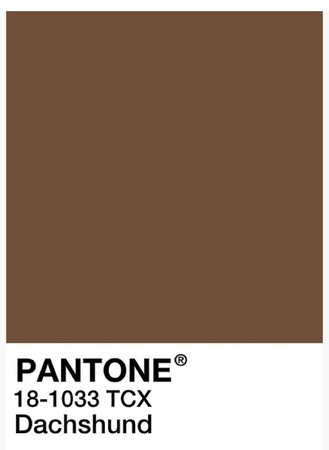 Pantone Brown