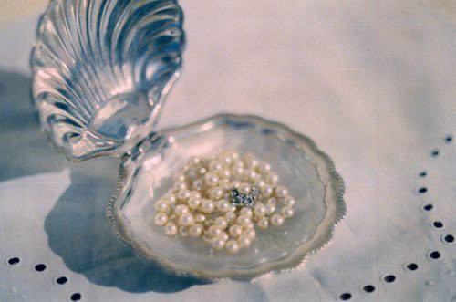 blue pearl shell