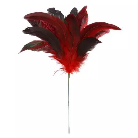 Red Pheasant Feather Pick by Ashland® | Michaels