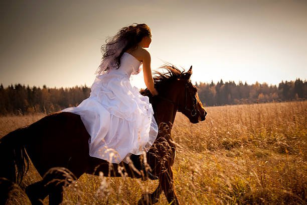 25 Horse Horseback Riding Bride Freedom Stock Photos, Pictures & Royalty-Free Images - iStock