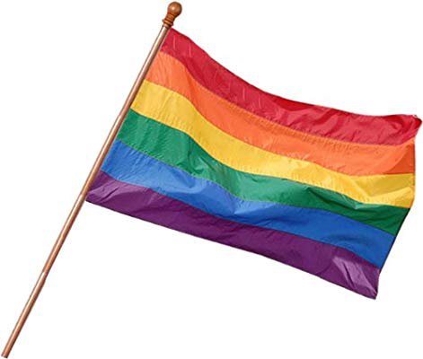 Amazon.com : Gay Rainbow Sisters 18"x12" Rainbow Pride Flag : Garden & Outdoor