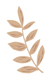 nude leaves png - Google Search