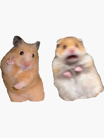 "Peace Sign and Screaming Hamster" Stickers by madisonbaber | Redbubble