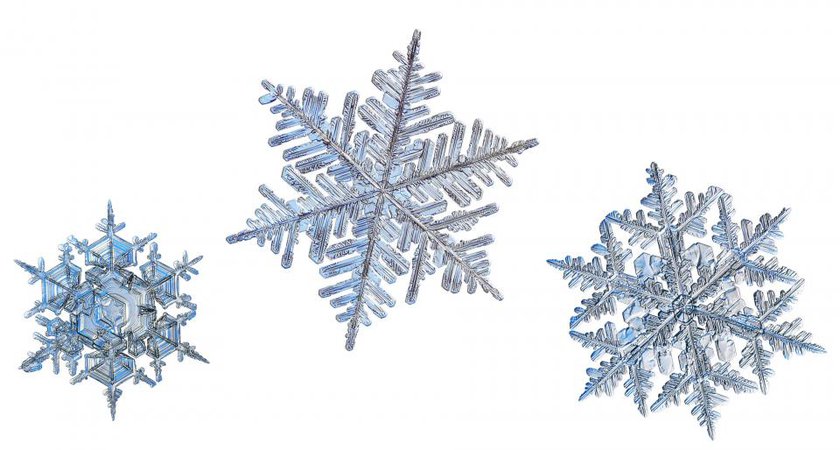Snowflakes rising | UU World Magazine