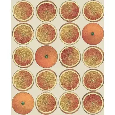 orange wallpaper - Google Search