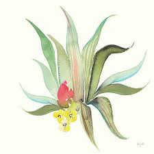 desert flower art - Google Search